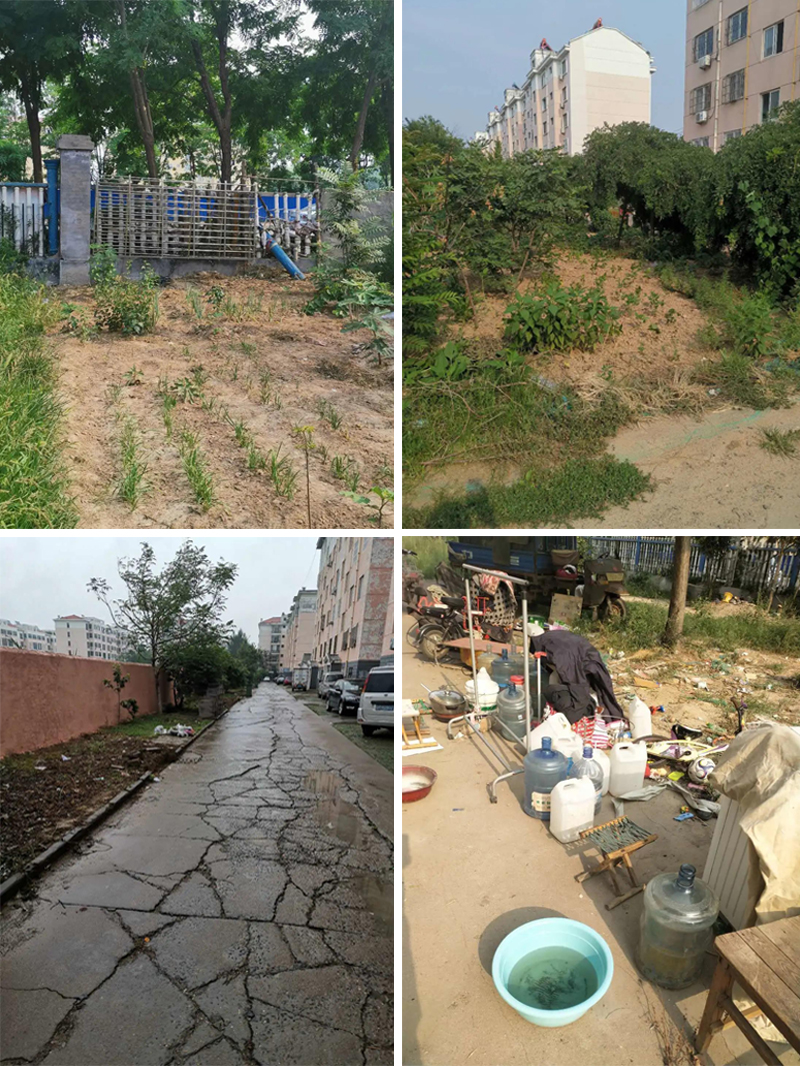 無私奉獻美化環(huán)境，大愛企業(yè)溫暖民心(圖4)