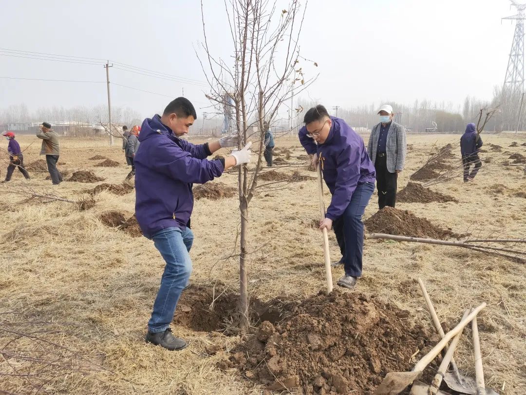 “綠水青山黨旗揚(yáng) 一心向黨守初心”植樹(shù)節(jié)活動(dòng)(圖4)