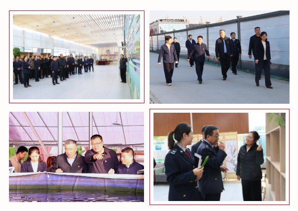 黨建聯(lián)盟聚合力 融合賦能促發(fā)展 ——濱城區(qū)財稅黨建聯(lián)盟走進(jìn)惠達(dá)瑞和集團(tuán)魚菜菌共生基地(圖2) 黨建聯(lián)盟聚合力 融合賦能促發(fā)展 ——濱城區(qū)財稅黨建聯(lián)盟走進(jìn)惠達(dá)瑞和集團(tuán)魚菜菌共生基地(圖2)