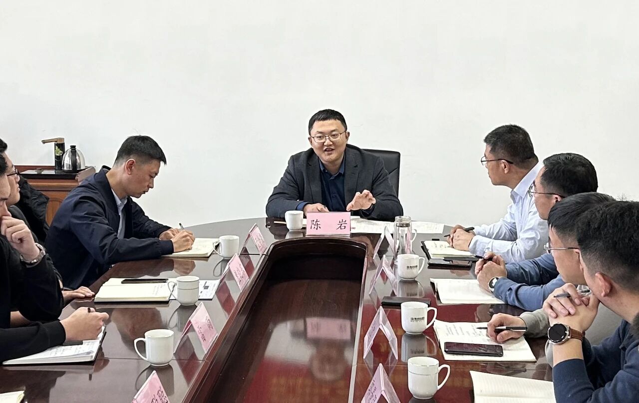 區(qū)政府領(lǐng)導(dǎo)陳巖蒞臨集團(tuán)指導(dǎo)工作 擘畫發(fā)展新藍(lán)圖(圖1)